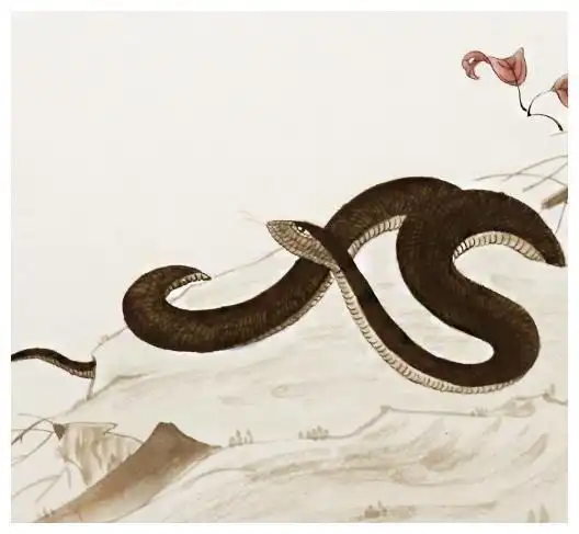 7月份,这4属相运势逆袭,生活充实,事业有成