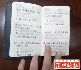 女子网聊约炮下药劫财屡次得手本子记满上百男友特征