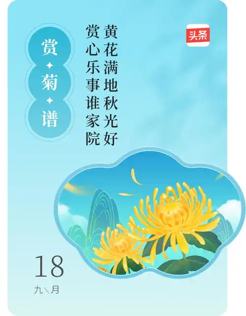 心语星愿的头条主页今日头条