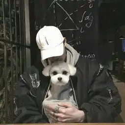 炒鸡棒的男头