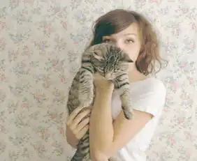 谁有这张图片高清图美女抱着虎纹猫咪背景是小碎花的有图