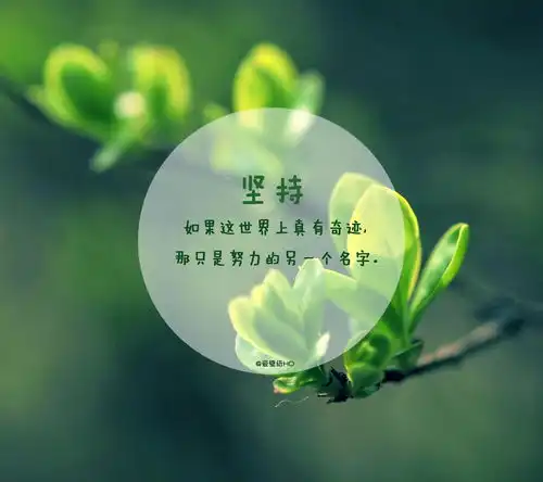 黑客网站大全