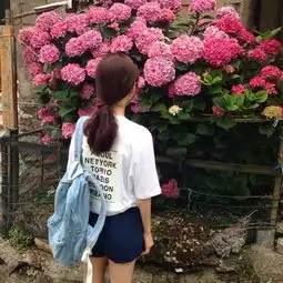 求此图高清版
