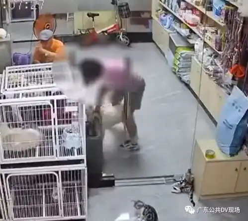 女孩宠物店推门夹死小猫店长发声希望找到孩子的家长要一声道歉