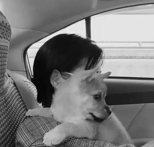 黑白女生头像有点丧,有点唯美