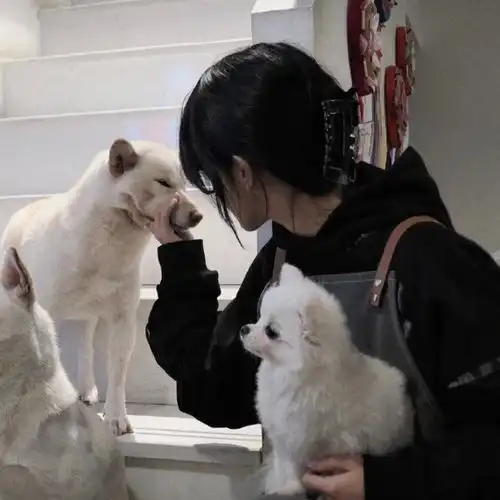 有你在真好,女生头像