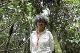 4岁被坏人丢弃在森林中自生自灭,被猴子养大