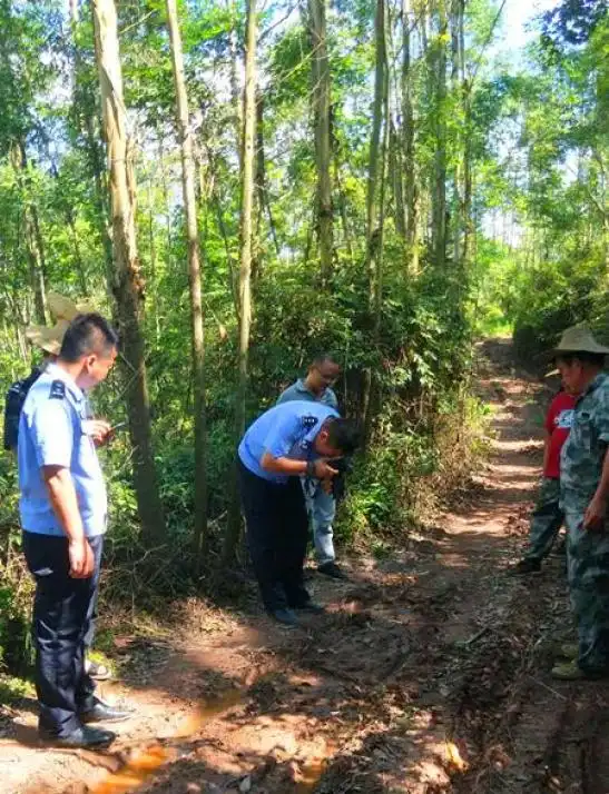 广西两岁女童失踪19小时山林一个脚印成为关键,民警一路搜寻至草丛