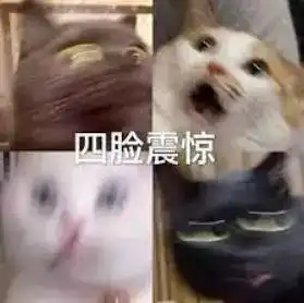 买了10000本书后,我发现了编辑们其实是uc震惊部戏精的秘密