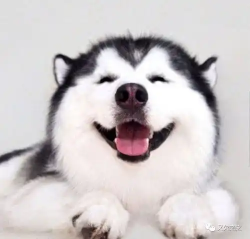 微笑的力量
