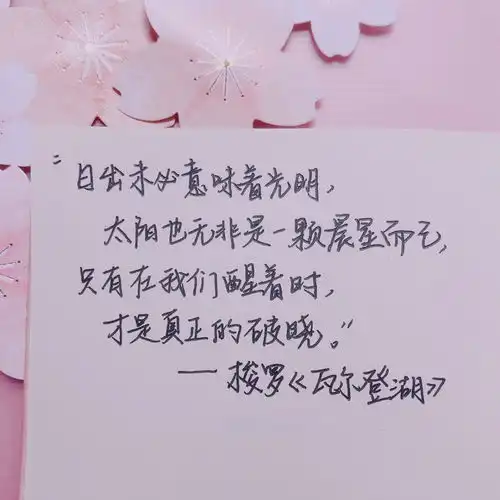 粉色系励志文案背景图