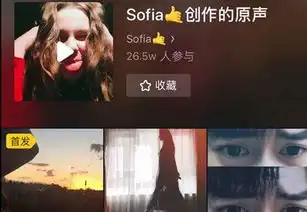 手机精彩美图乐单机游戏网