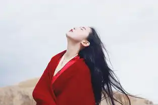张辛苑绝美旅途西藏