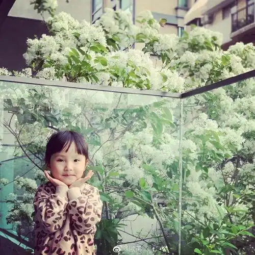 欧弟阳台晒两女儿近照