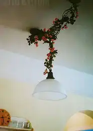20张美图呈现清纯美眉的3居室私密小屋