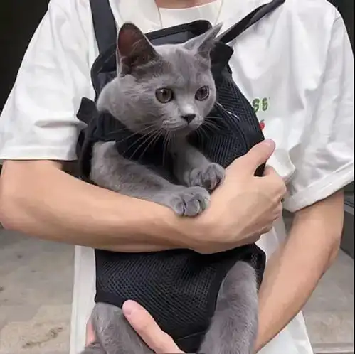 今日精选头像合集