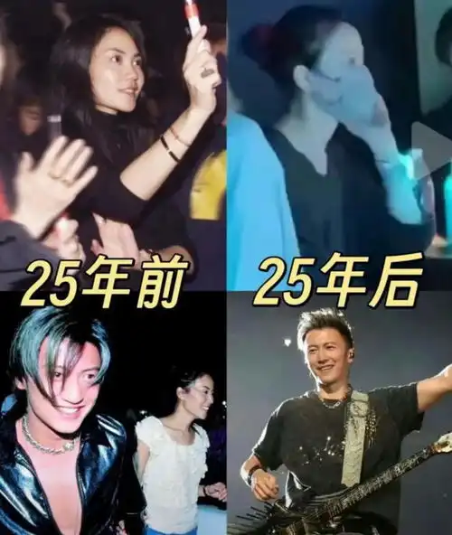 难怪锋菲恋多年不婚,看演唱会谢母对王菲的态度,突然懂了