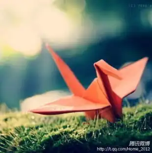 5555mtime时光网