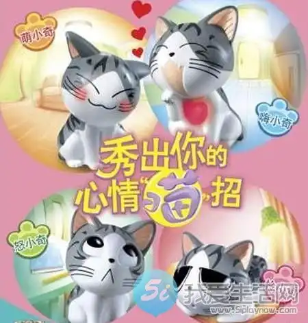 我是来求个小奇猫的,谁有