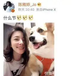 王思聪换女友,两人大清早一起遛狗,不再找网红,王思聪想结婚了