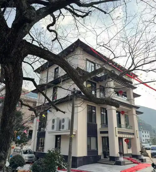 浙江男子晒出农村自建房,仅凭外观就爆火走红,网友太高级了