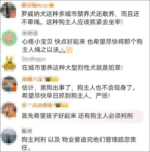 最新通报伤人犬只主人被采取刑事强制措施
