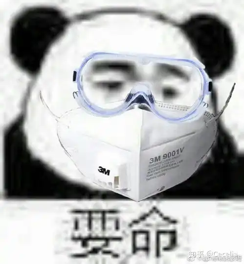 从英语从小不及格到大学考上英语专业,再到考研失败,我都经历了哪些选择