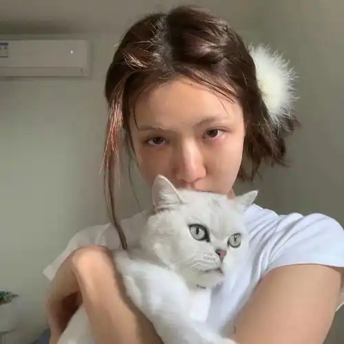 0425美女头像散伙是人间常态我们又不是什么例外