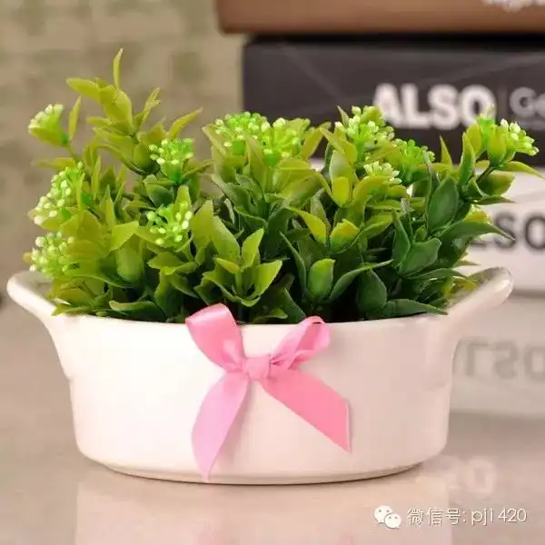 一月花事,养花人必知