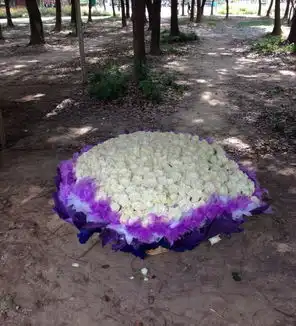 前国脚成亮领证结婚晒照片大秀恩爱