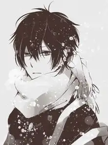 二次元本命