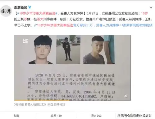 亳州16岁少年王凯涉重大刑案在逃受害人为其婶婶,警方回应悬赏10万