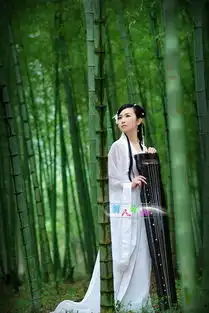 仙女古装cos白色小龙女汉服影楼女装主题写真演出服舞台装
