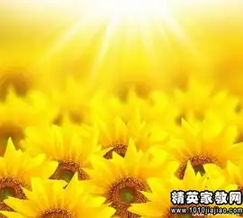 表现毅力的名人名言