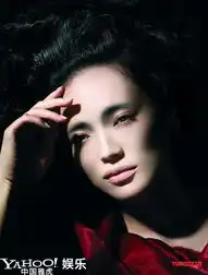 称霸娱乐圈的十大fd型美女