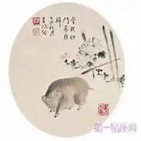 属猪微信吉祥头像图片微信头像图片大全