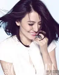 赵薇刘亦菲张柏芝高圆圆宋慧乔罕见的不整容美女明星