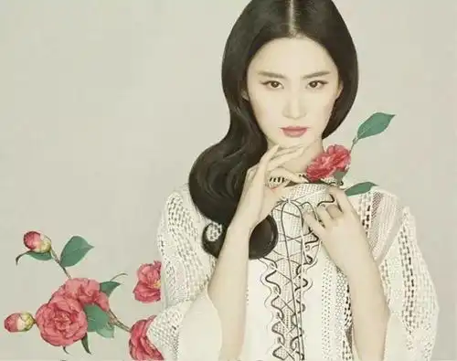 绝美的中国风摄影,你觉得哪位明星最美