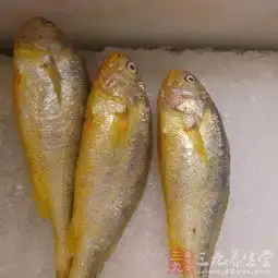 女性健康女人经常吃鱼有4大好处
