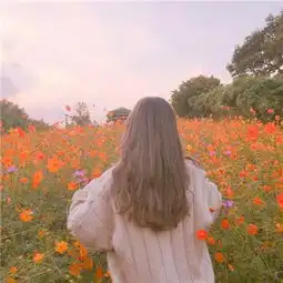 女生480x480快手头像唯美背影2018其实你的好坏我都有听说