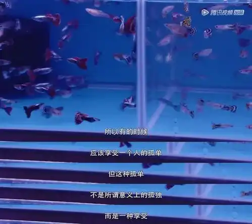 曾一萱想用72小时告诉你白昼黑夜,都是人间丨百部纪录片推荐计划vol.51