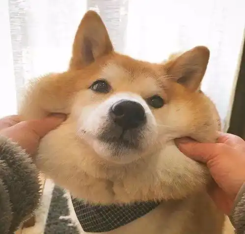 女生头像