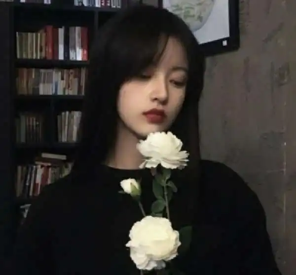 全网超火森系女生头像不过情伤