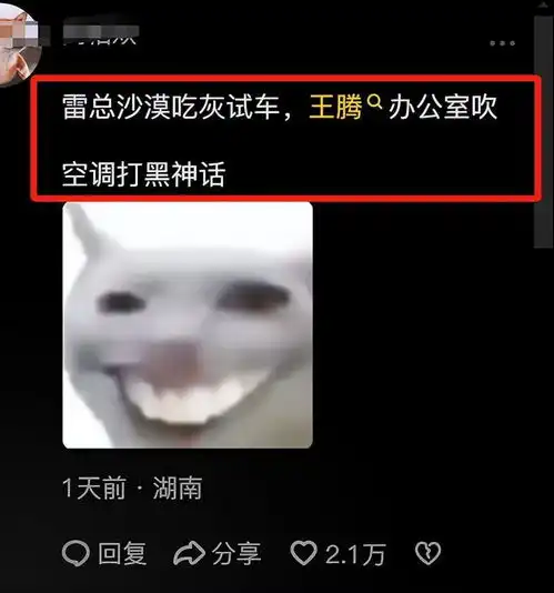 太搞笑雷军新疆测试小米跑车,评论区却被王腾刷屏