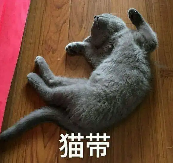 蓝猫打扰小主人做作业,小主人伸手就是一巴掌,我还只是个孩子啊