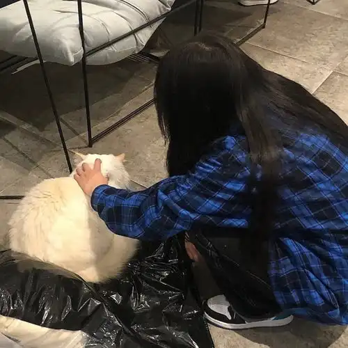 头像丨该来的总会来的