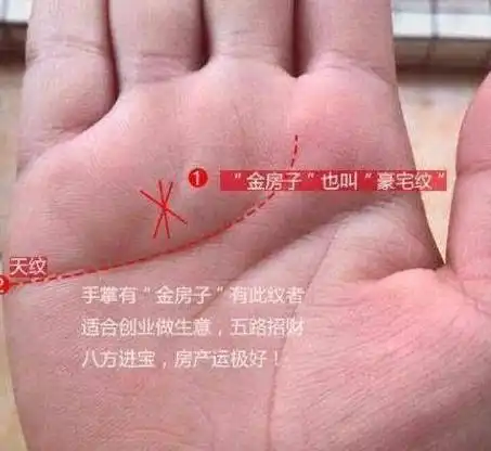 玄真探运手纹中有金房子的人,房产运特别的好,会有贵人帮助一辈子不愁钱财