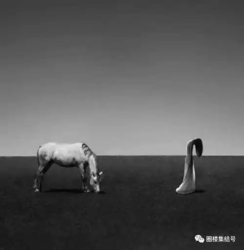 圈楼女杰三宝夕阳余晖一路尘6首