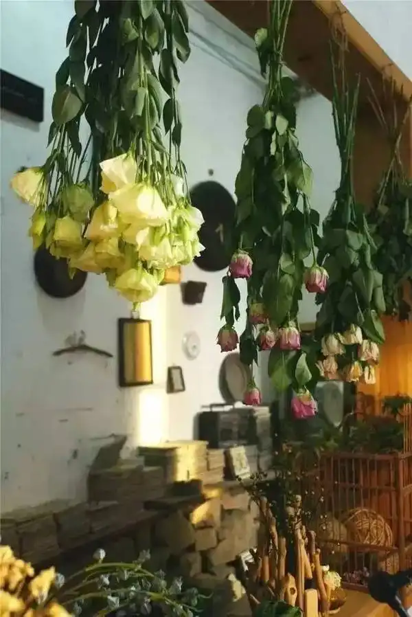 90后央美美女,花6w爆改300㎡的别墅隐居山林