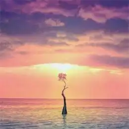 李隼昔日爱徒被孔令辉逼到退役深夜发文不是不报,时候未到